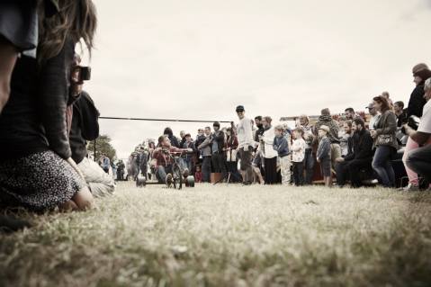 10619900_10154553845030397_4762803659140253829_o