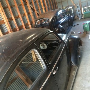 10629791_646185058822637_2669318174990773333_n